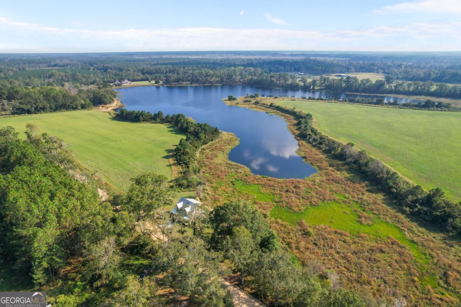 468 Lake Lannell Road Odum - 31