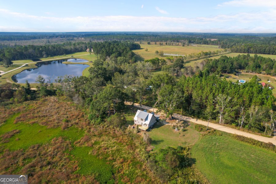 468 Lake Lannell Road Odum - 33