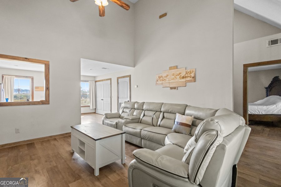 468 Lake Lannell Road Odum - 8