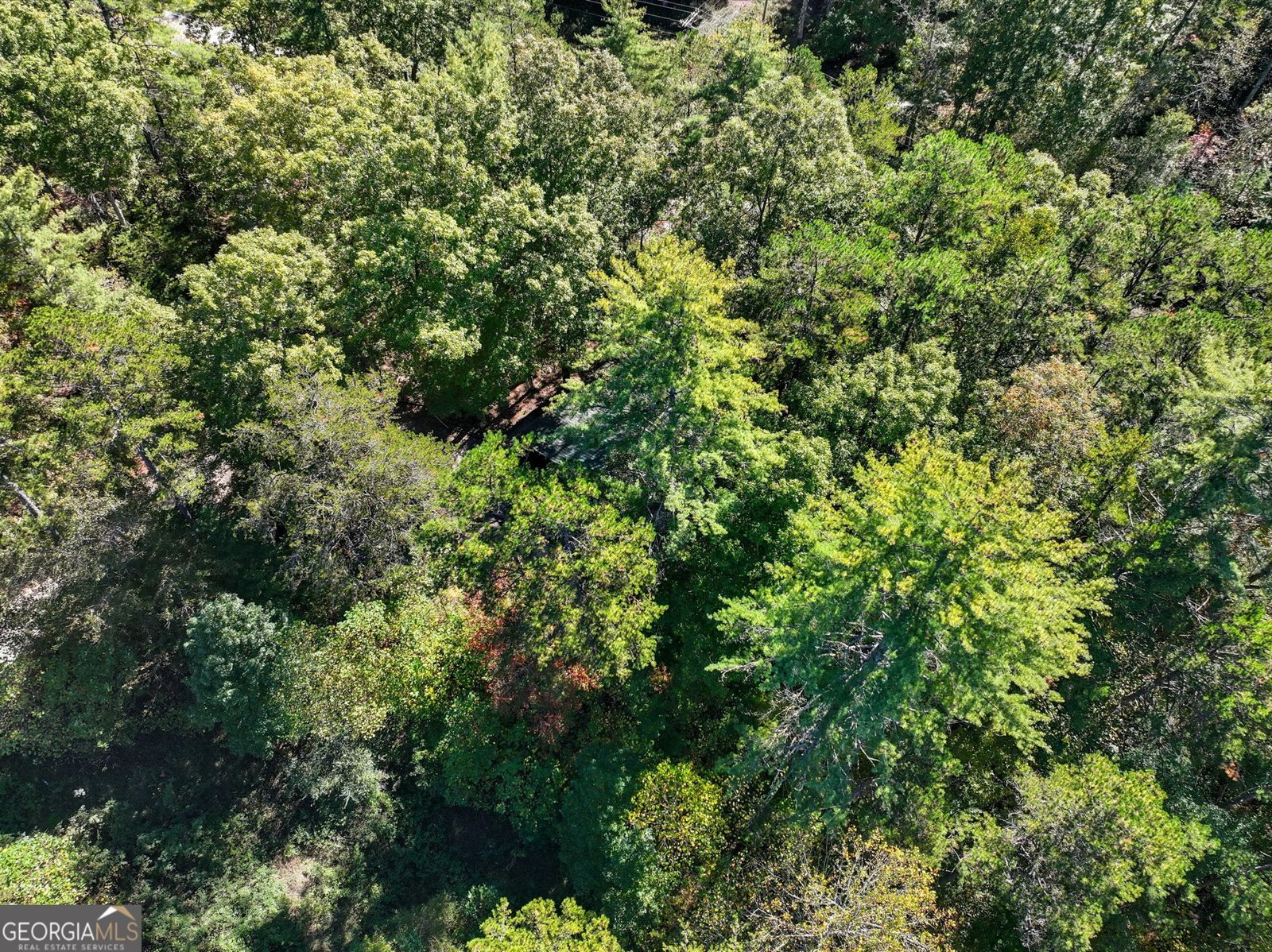 25 Foster Lane Morganton - 24