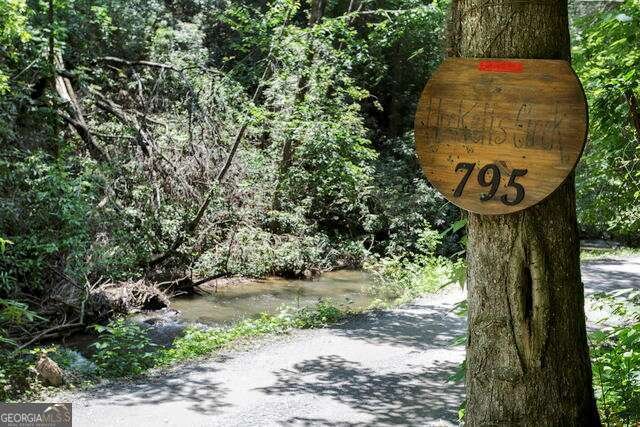 795 Kells Ridge Drive Ellijay - 2