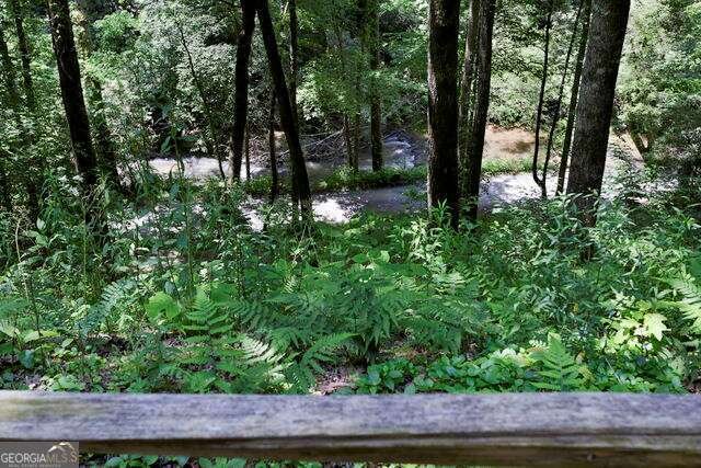 795 Kells Ridge Drive Ellijay - 26