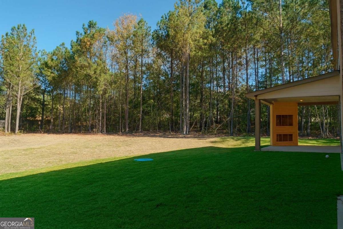 1205 Kristen Lane Loganville - 36