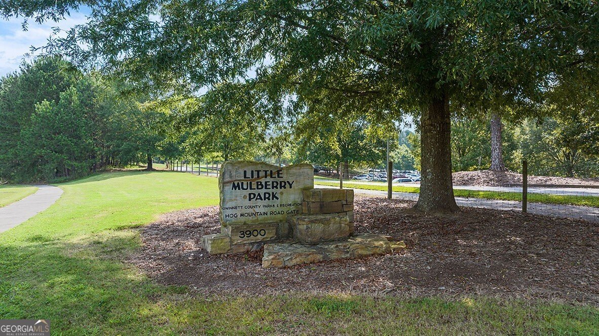 2594 Poppy Court Buford - 3