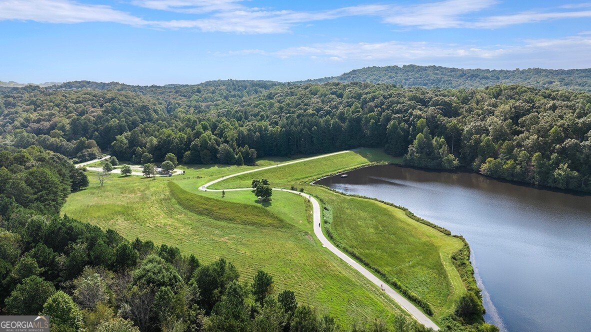 2594 Poppy Court Buford - 4