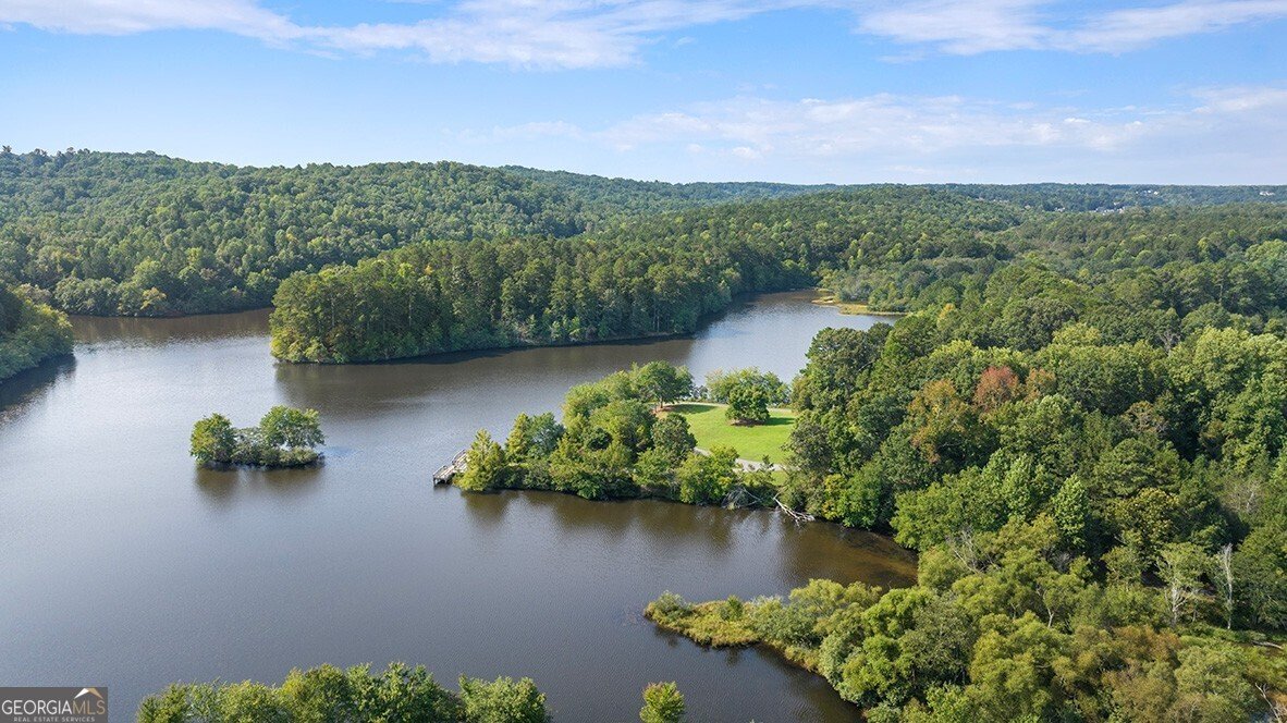 2594 Poppy Court Buford - 5