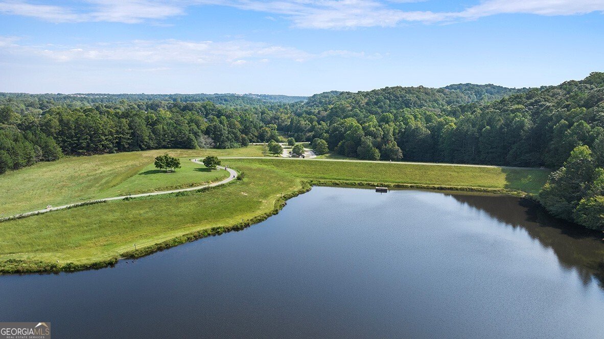 2594 Poppy Court Buford - 6