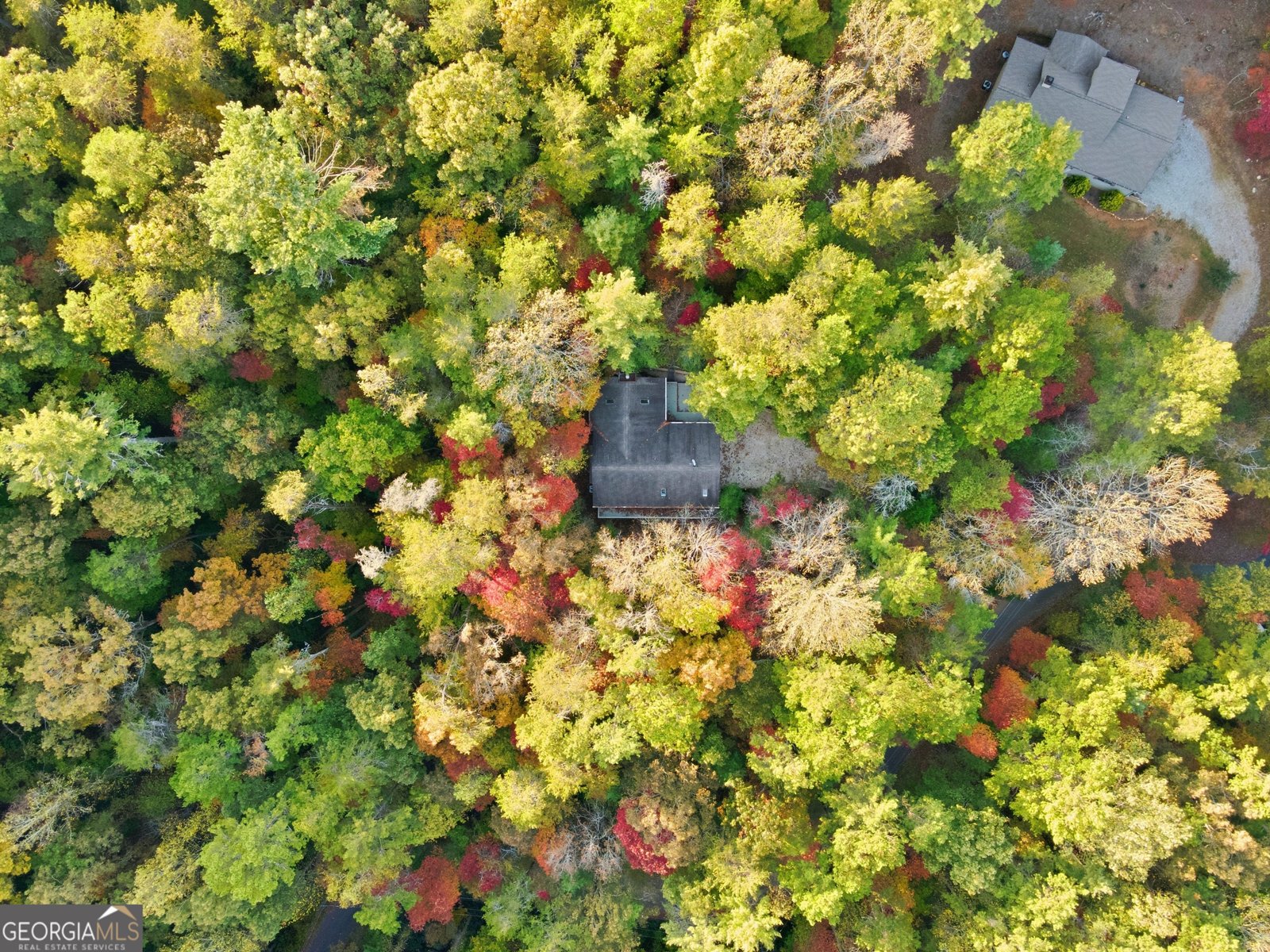 1546 Woodbrier Sautee Nacoochee - 2