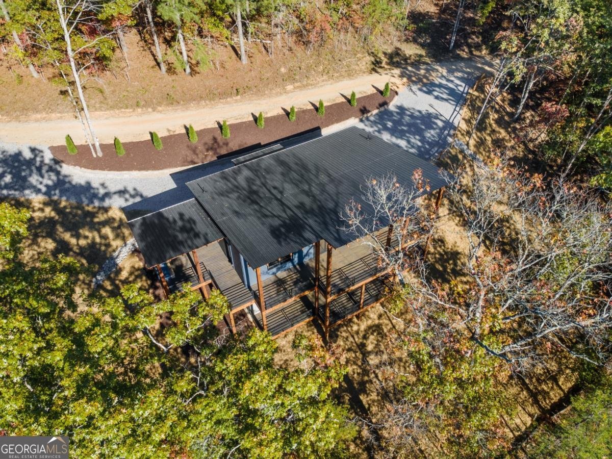 65 Wolf Creek Heights Mineral Bluff - 47