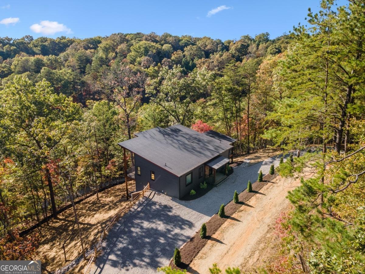 65 Wolf Creek Heights Mineral Bluff - 50