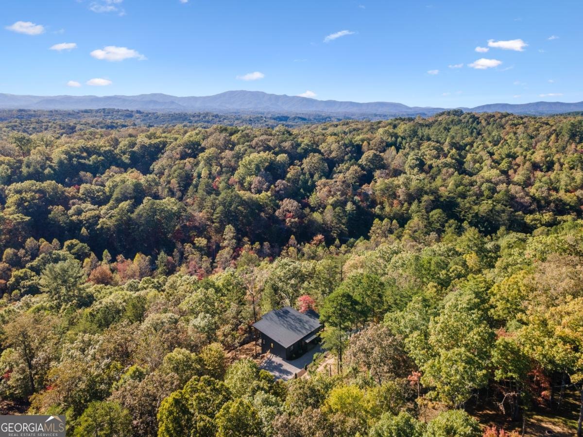 65 Wolf Creek Heights Mineral Bluff - 51