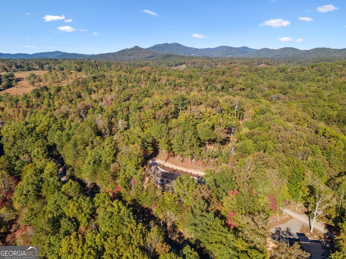 65 Wolf Creek Heights Mineral Bluff - 52