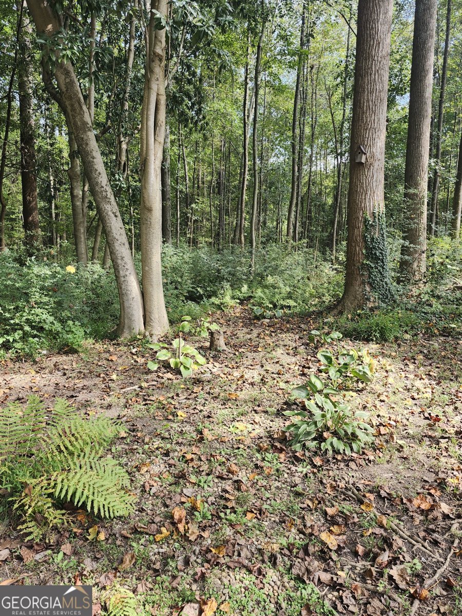 1584 Lakemont Drive Grayson - 2