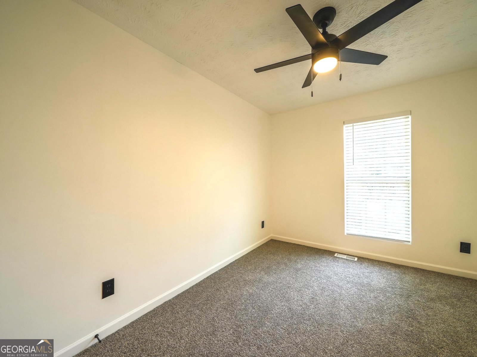 11435 South Grove Drive Hampton - 19