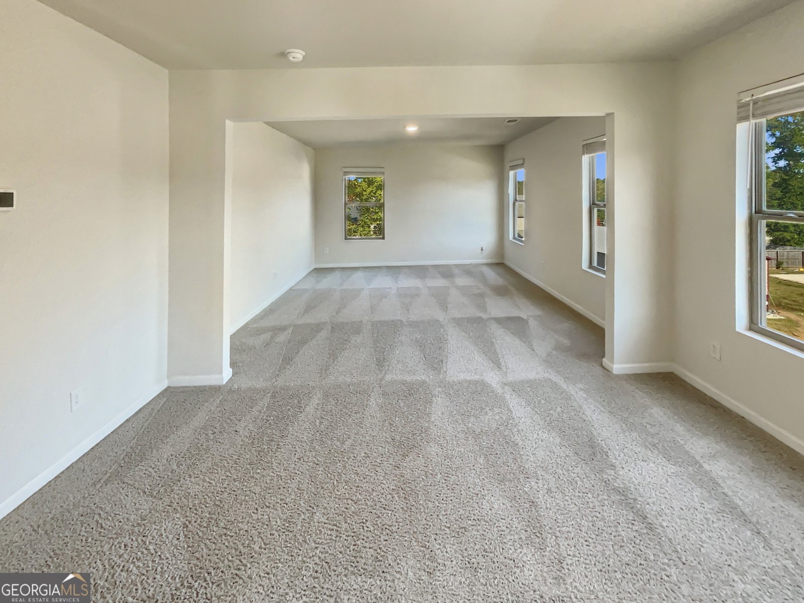 446 Noblewood Drive McDonough - 12