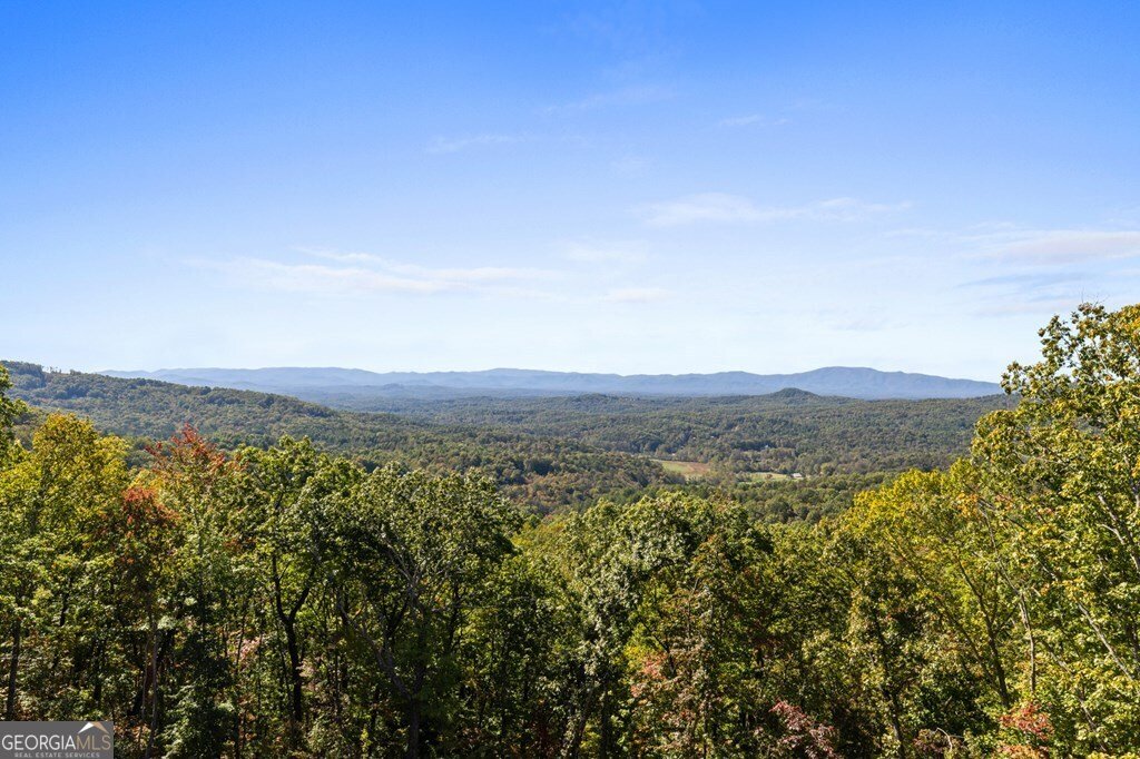 LOT 229 Kittatinny Drive Mineral Bluff - 2