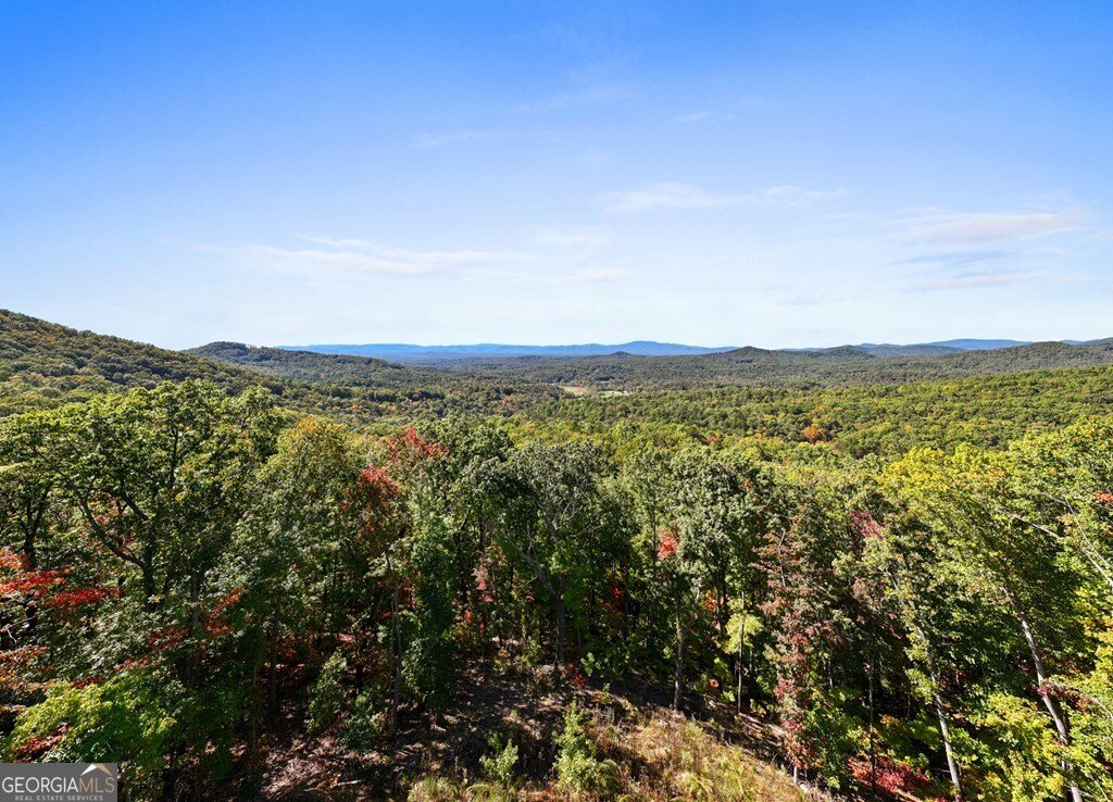 LOT 229 Kittatinny Drive Mineral Bluff - 36