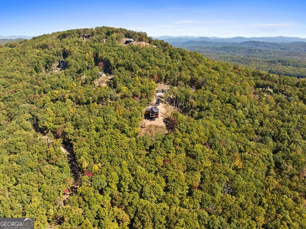 LOT 229 Kittatinny Drive Mineral Bluff - 37