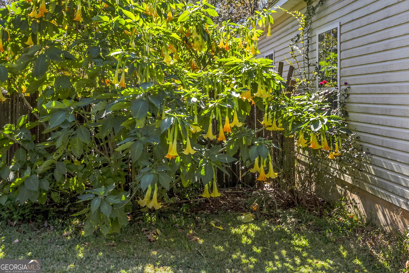 3676 Jones Road Macon - 33