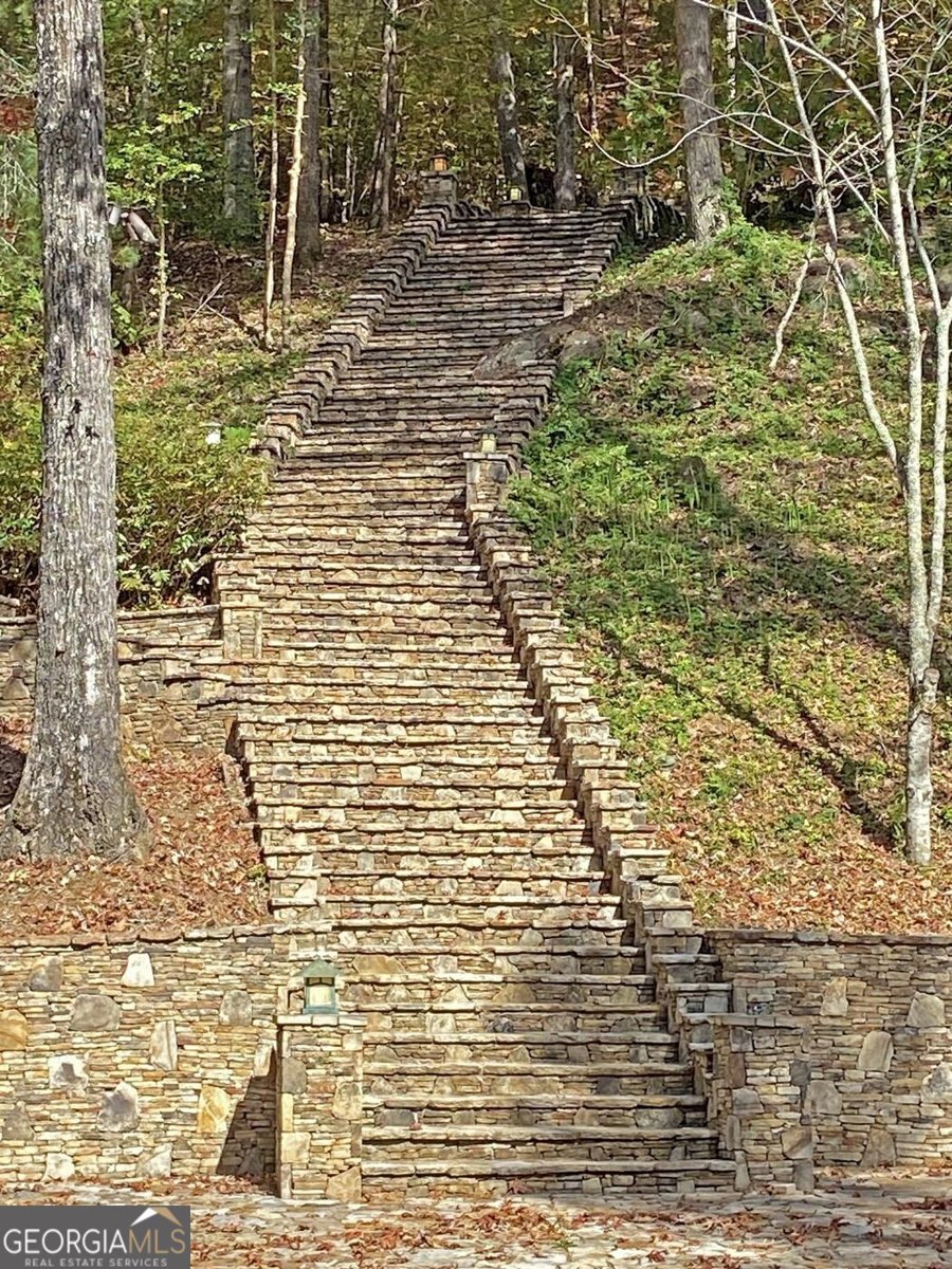 169 Dunns Road Dahlonega - 48