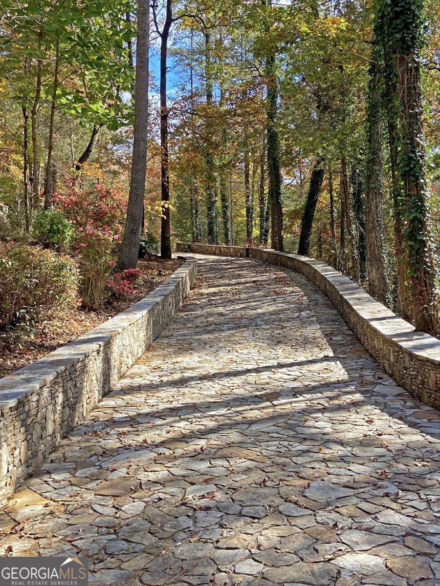 169 Dunns Road Dahlonega - 50