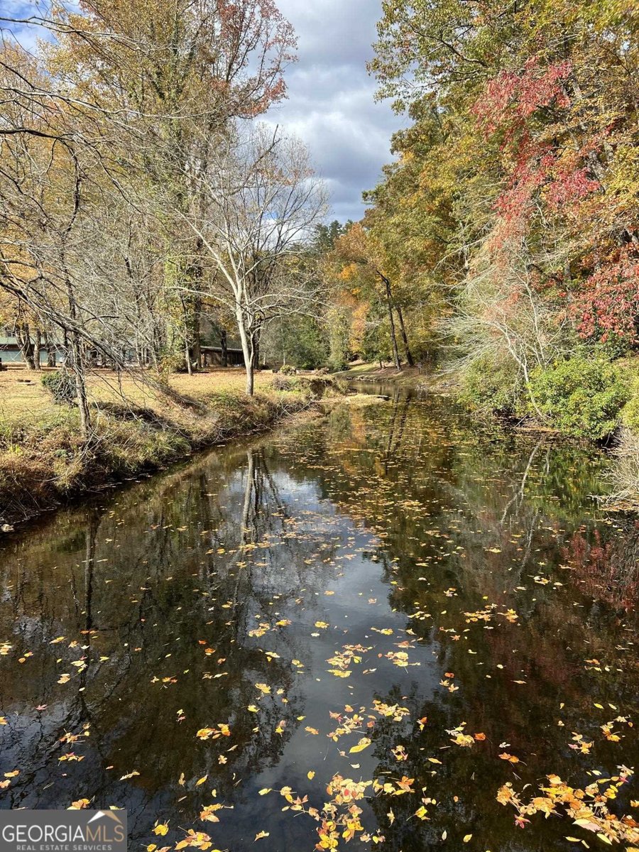 169 Dunns Road Dahlonega - 58