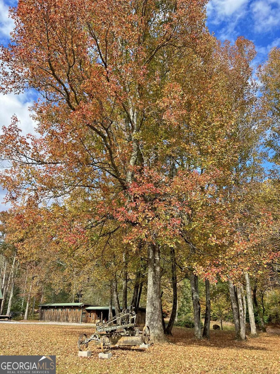 169 Dunns Road Dahlonega - 63