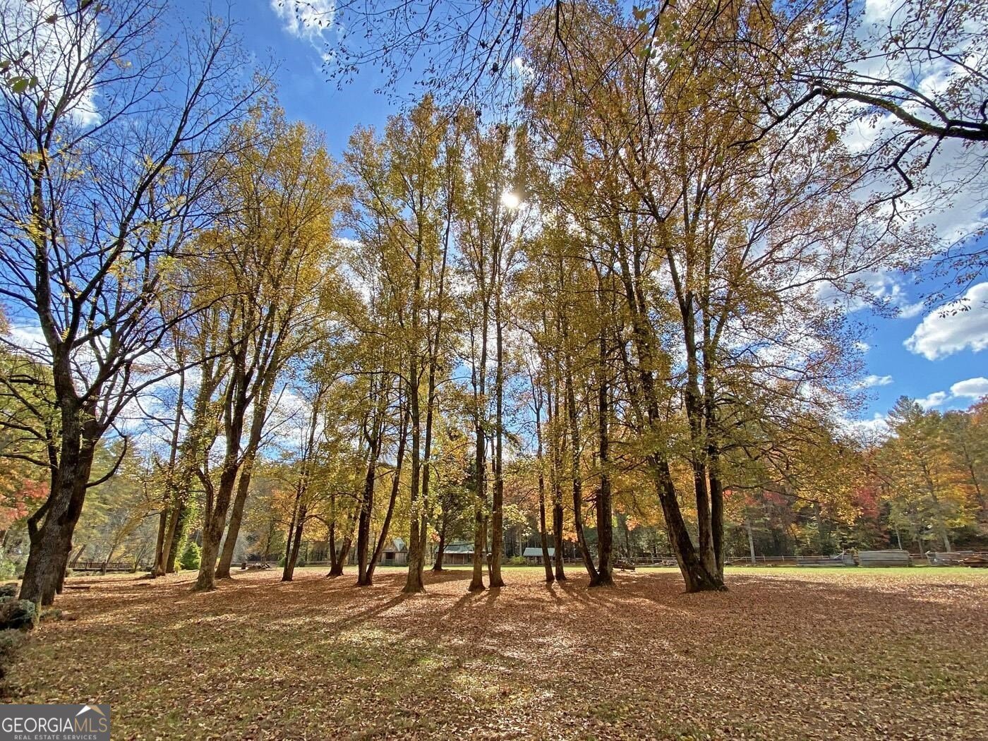 169 Dunns Road Dahlonega - 68