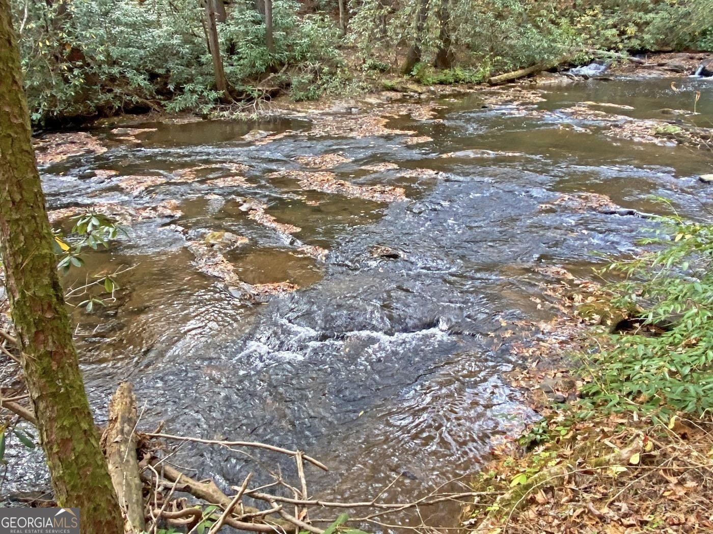 169 Dunns Road Dahlonega - 88