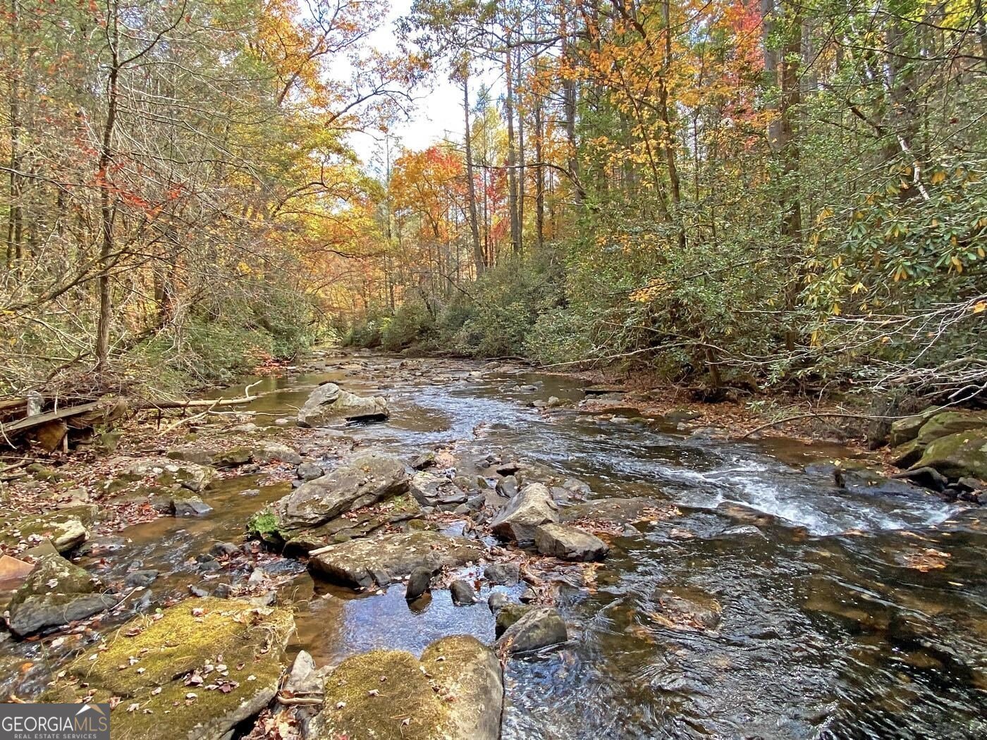 169 Dunns Road Dahlonega - 90