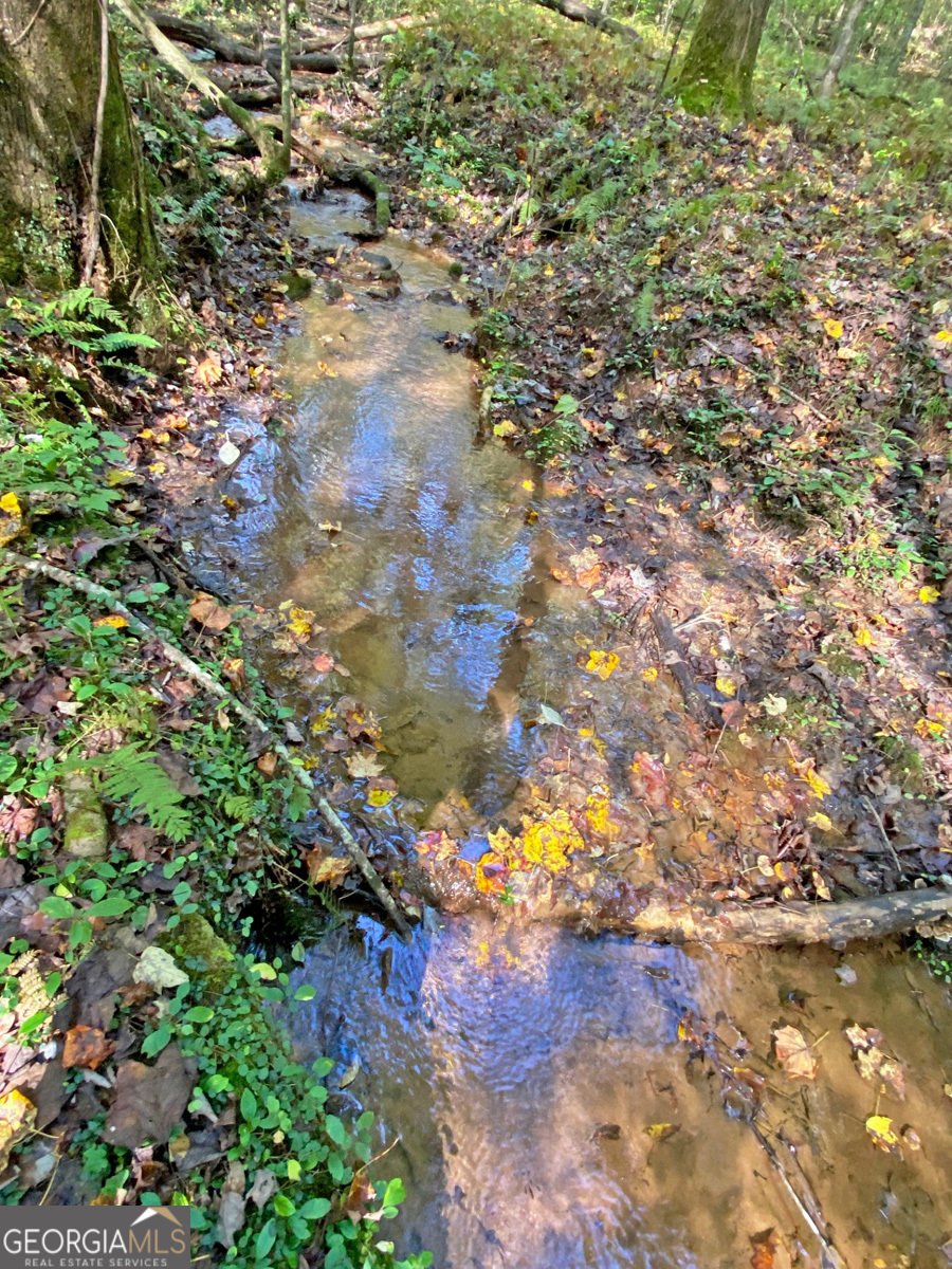 169 Dunns Road Dahlonega - 91