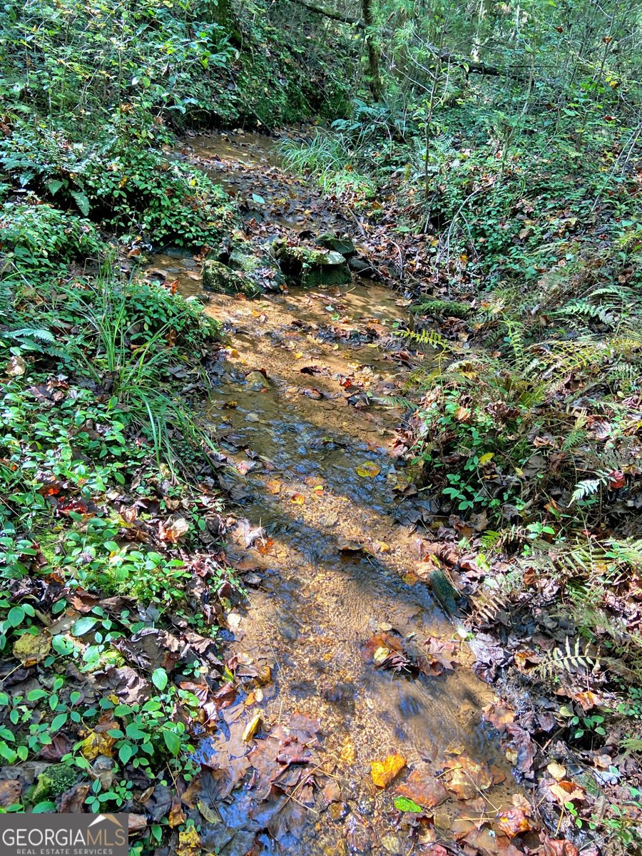 169 Dunns Road Dahlonega - 92