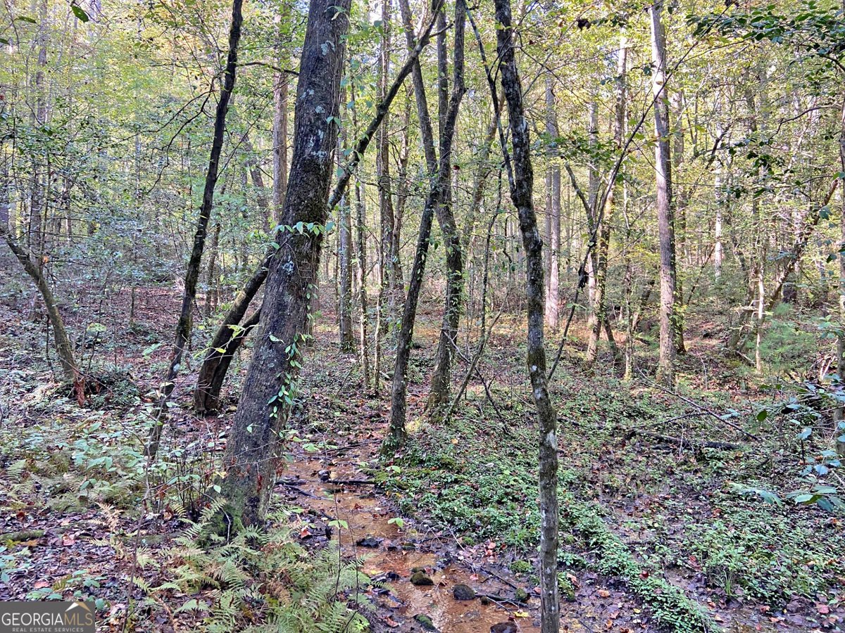 169 Dunns Road Dahlonega - 95