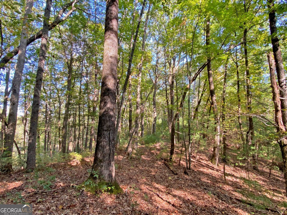 169 Dunns Road Dahlonega - 96