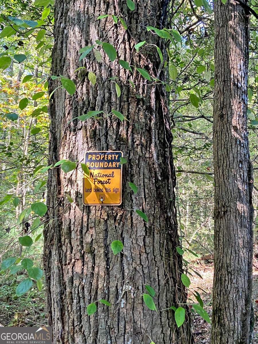 169 Dunns Road Dahlonega - 97