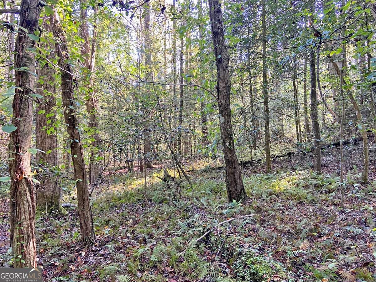 169 Dunns Road Dahlonega - 98