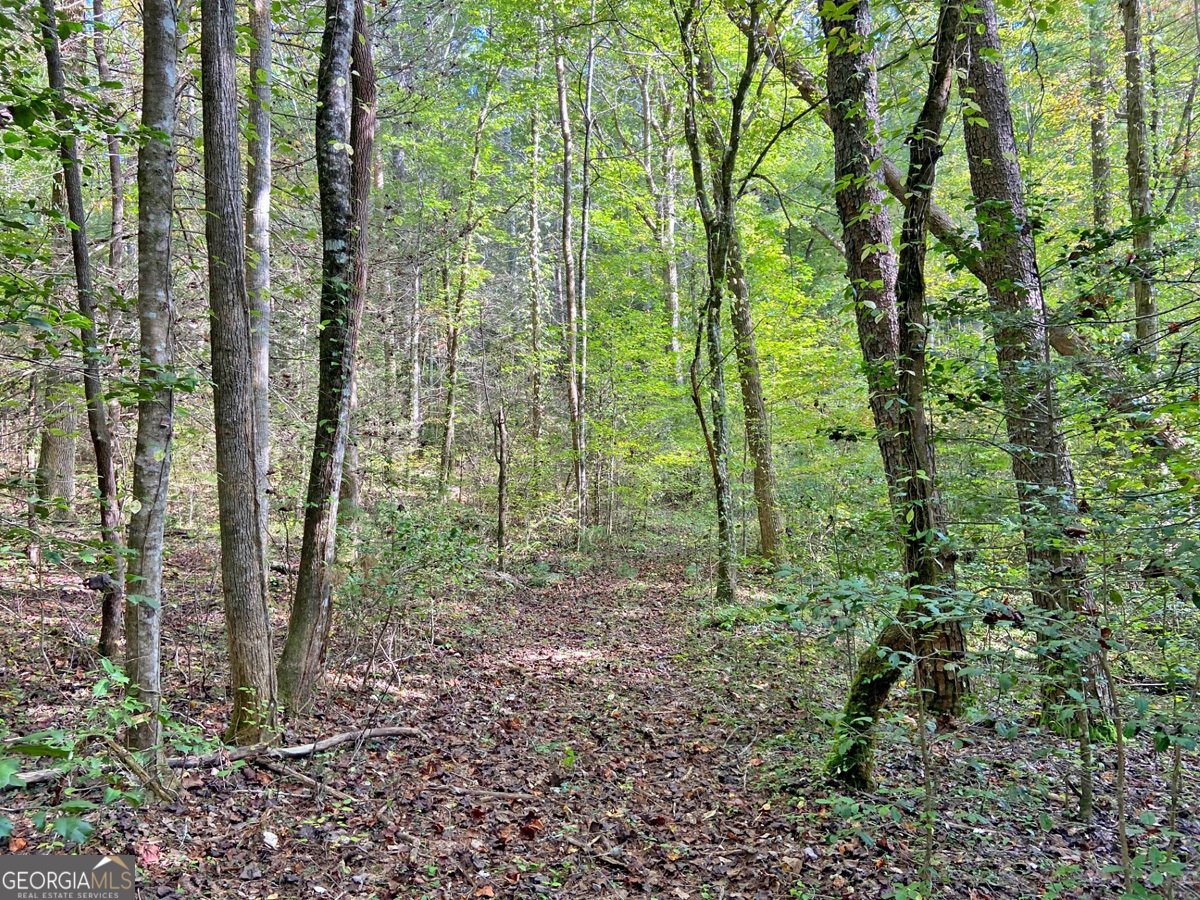 169 Dunns Road Dahlonega - 99