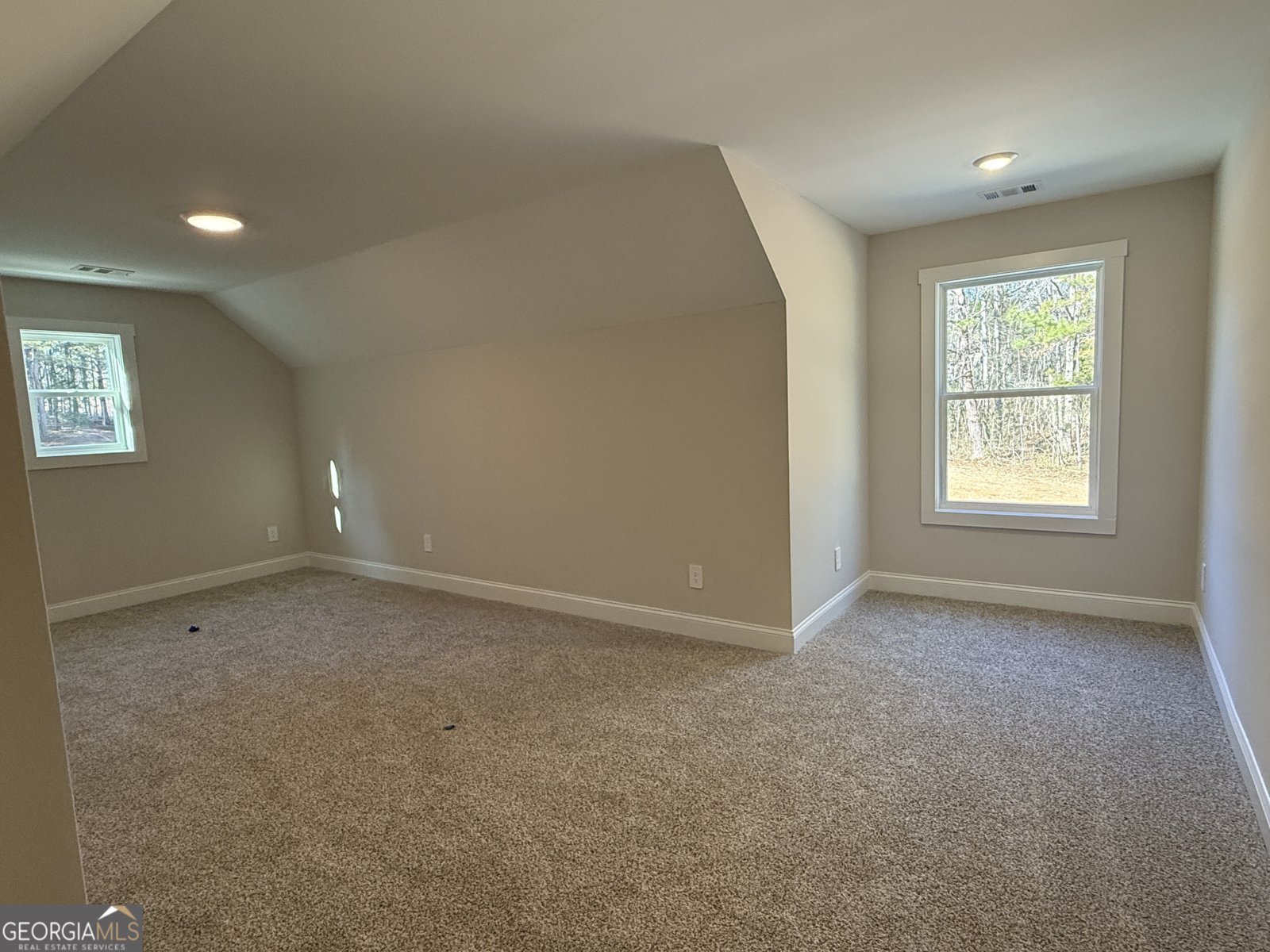 2+ ACRES Williams Mill Road Zebulon - Photo 42