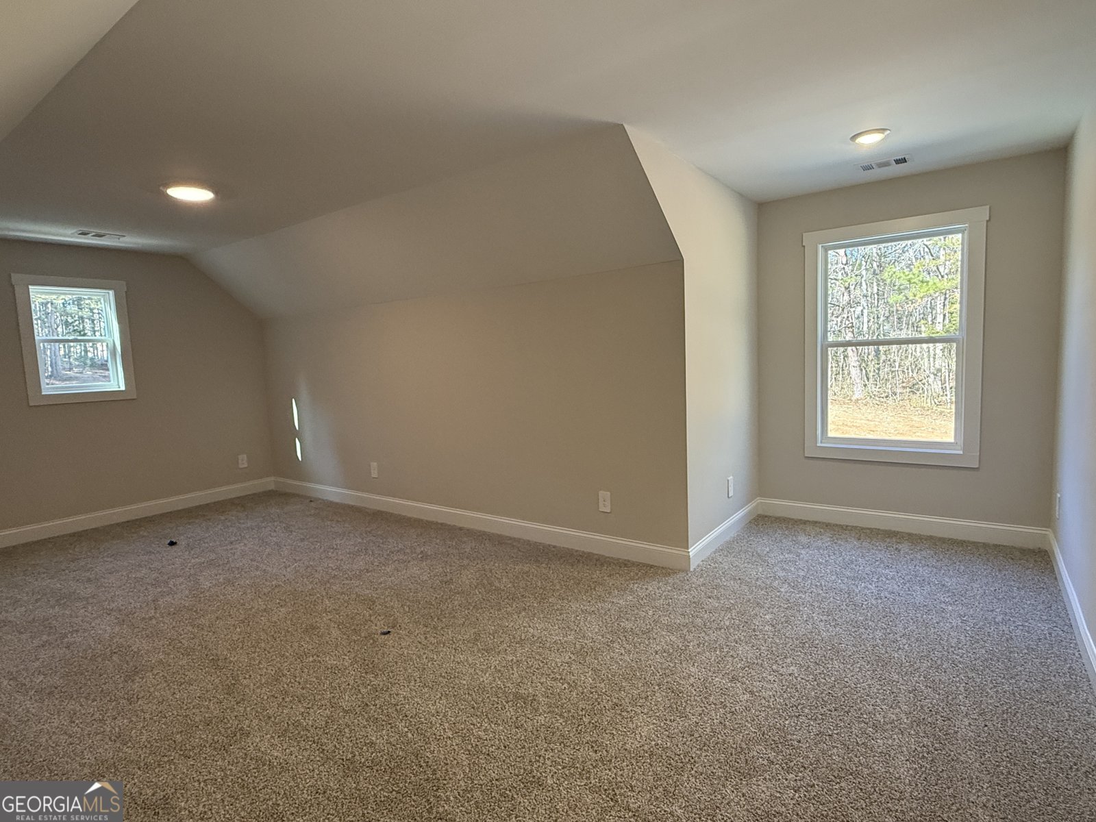 2+ ACRES Williams Mill Road Zebulon - Photo 43