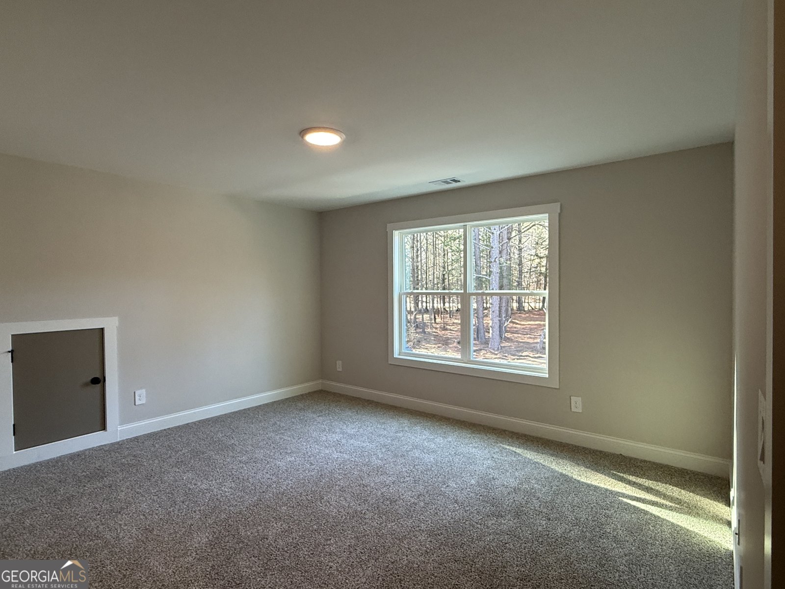 2+ ACRES Williams Mill Road Zebulon - Photo 44