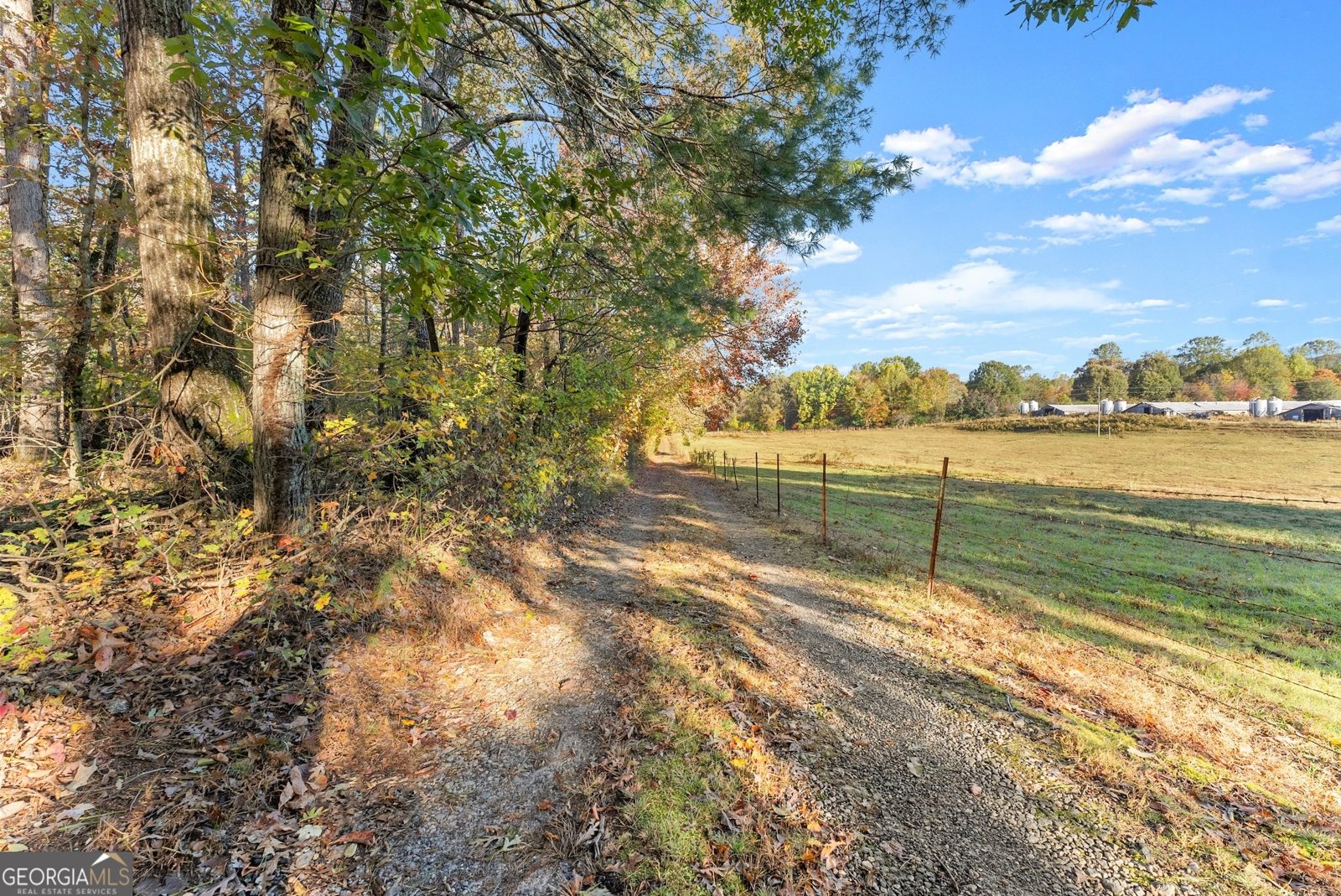 1688 Ben Jones Road Clarkesville - 33