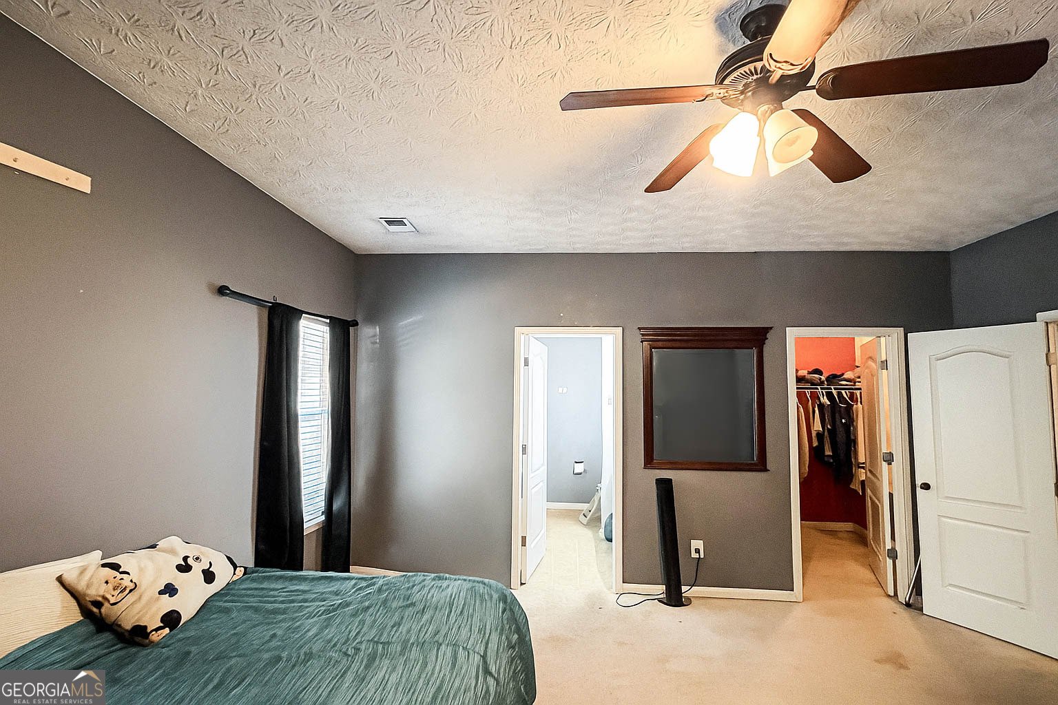 13158 Greywolf Lane Covington - 19