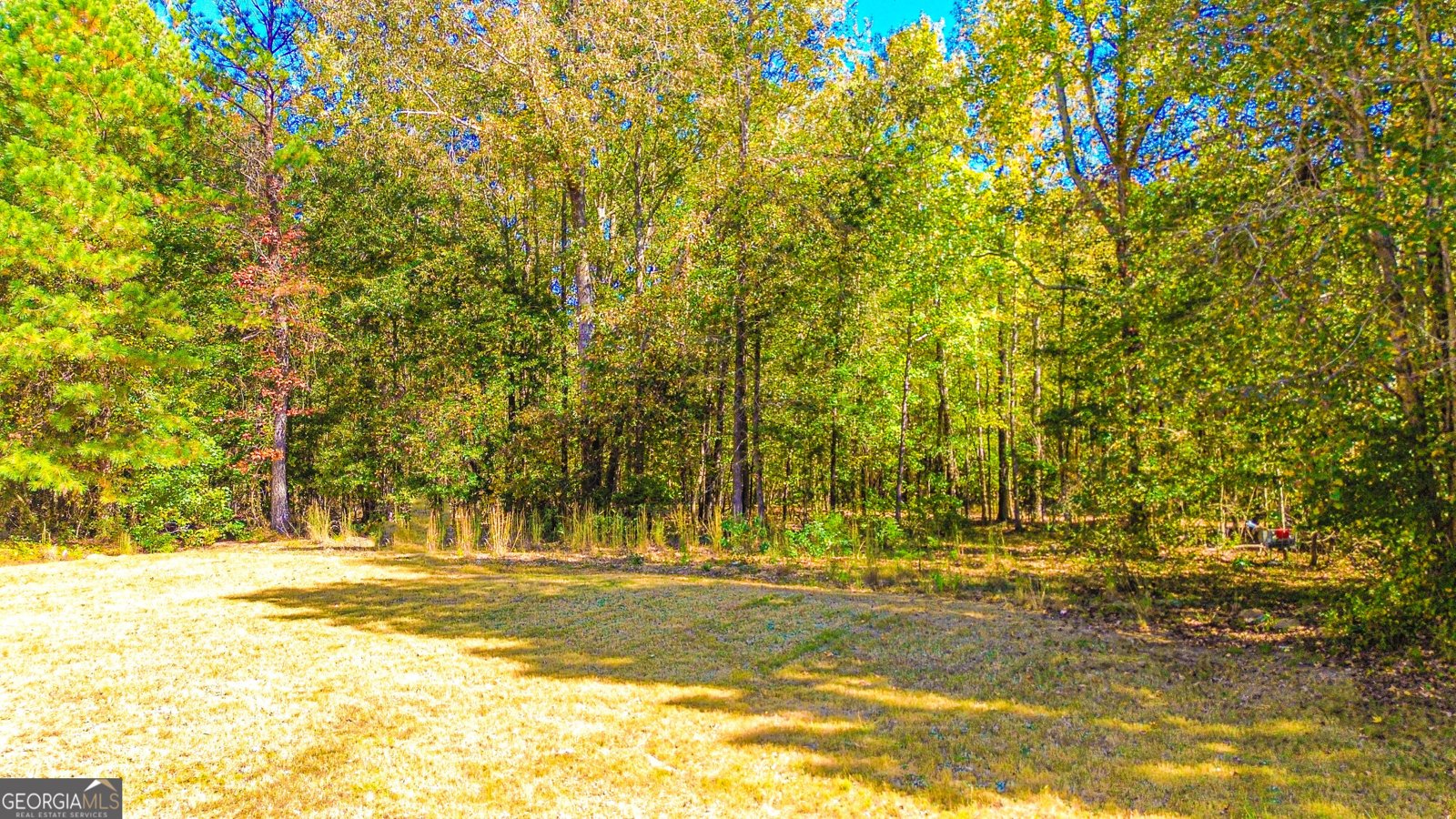 13158 Greywolf Lane Covington - 46