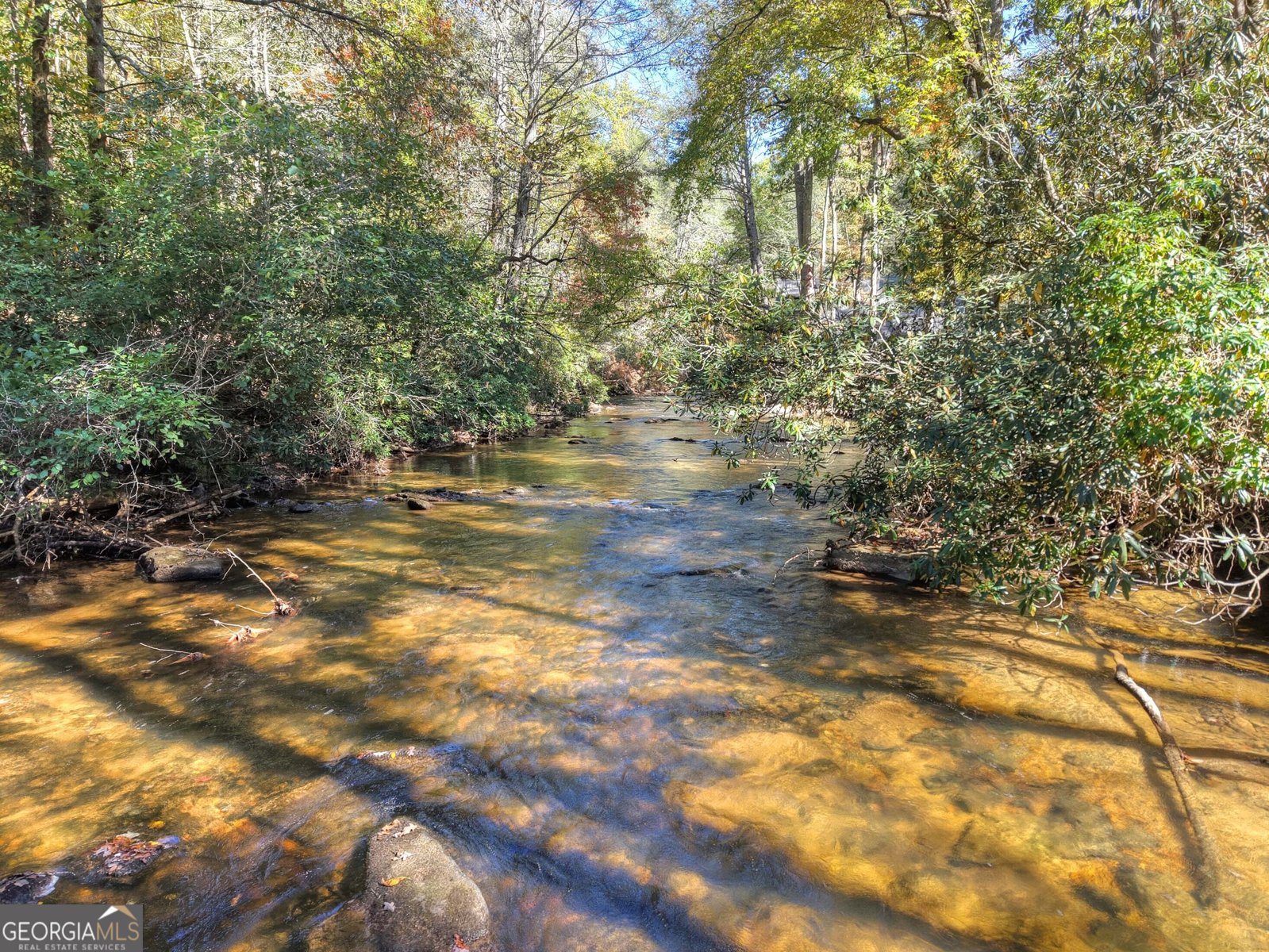 340 Hemlock Trail Blue Ridge - 63