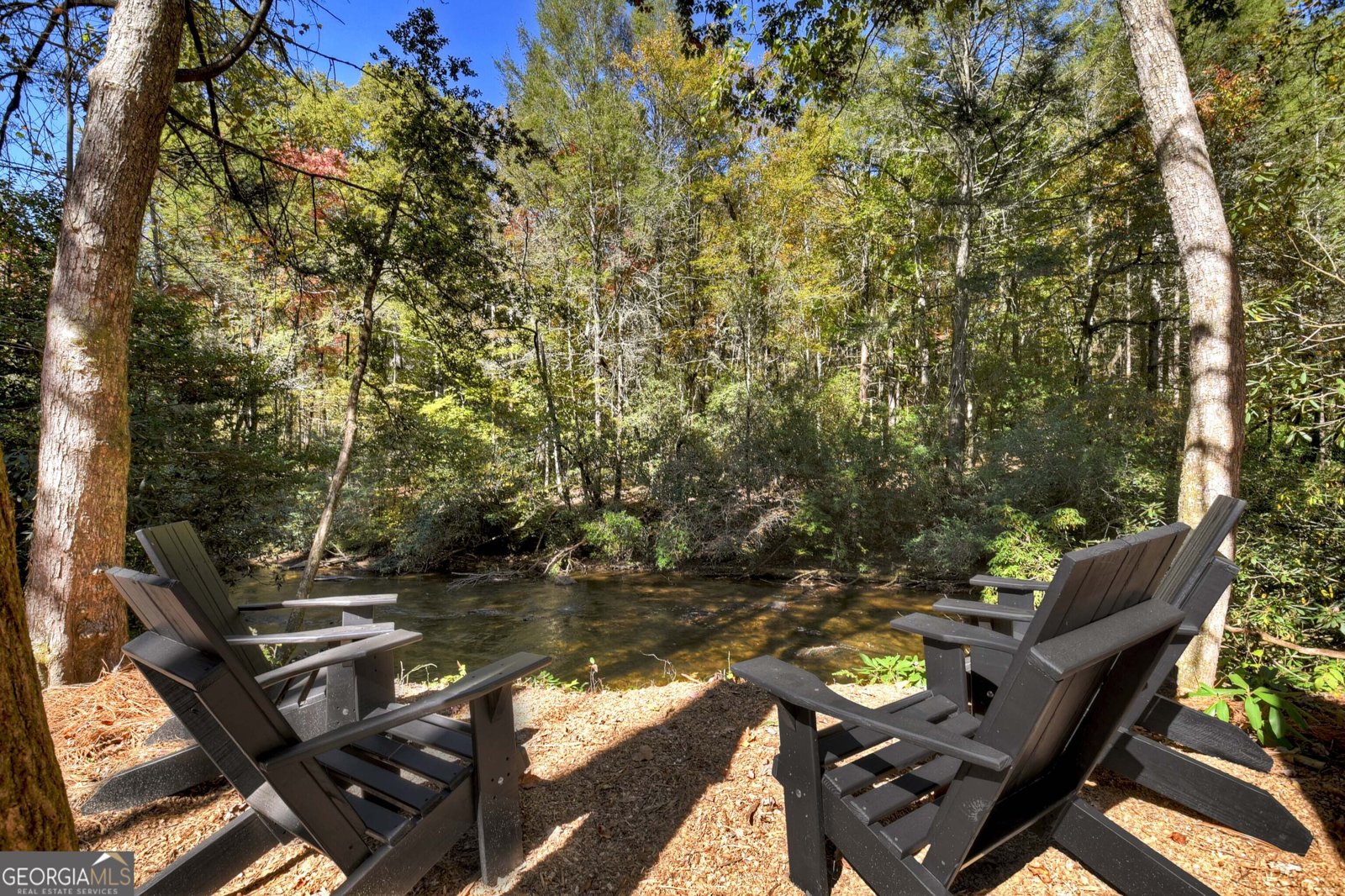 340 Hemlock Trail Blue Ridge - 67