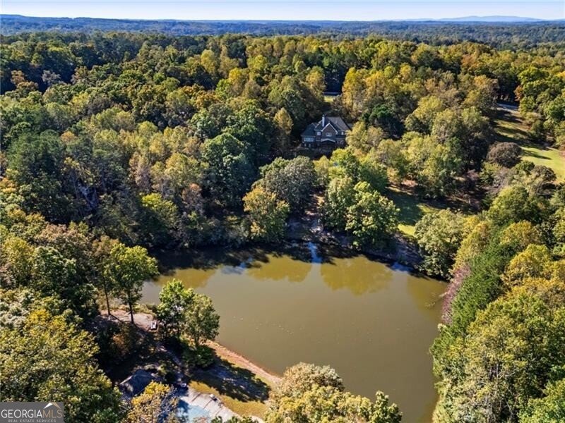 15385 Tullgean Drive Alpharetta - 68