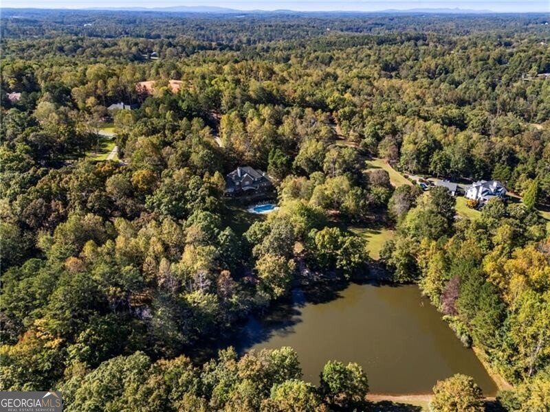 15385 Tullgean Drive Alpharetta - 69