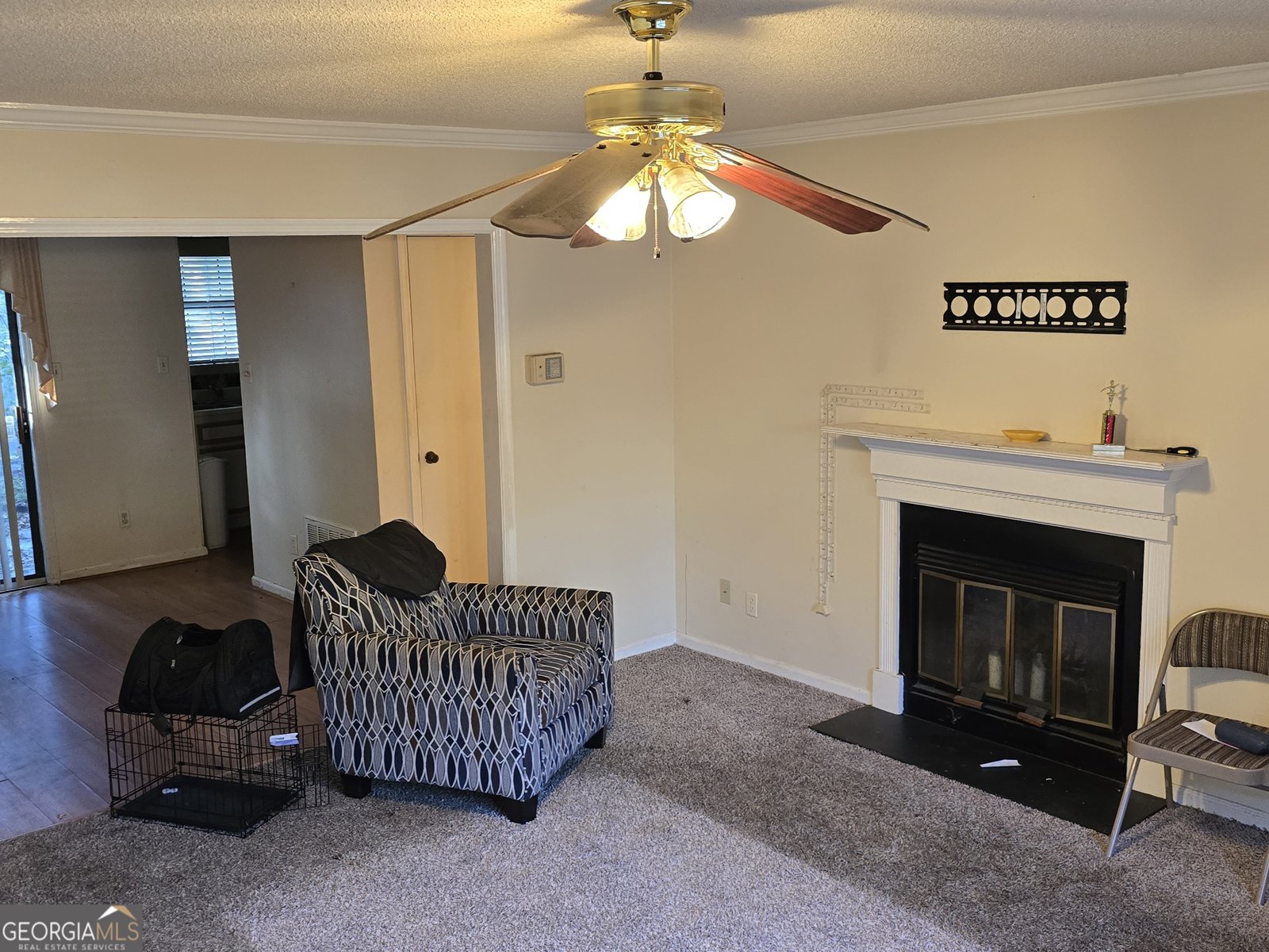 69 Hidden Lake Court Savannah - 21