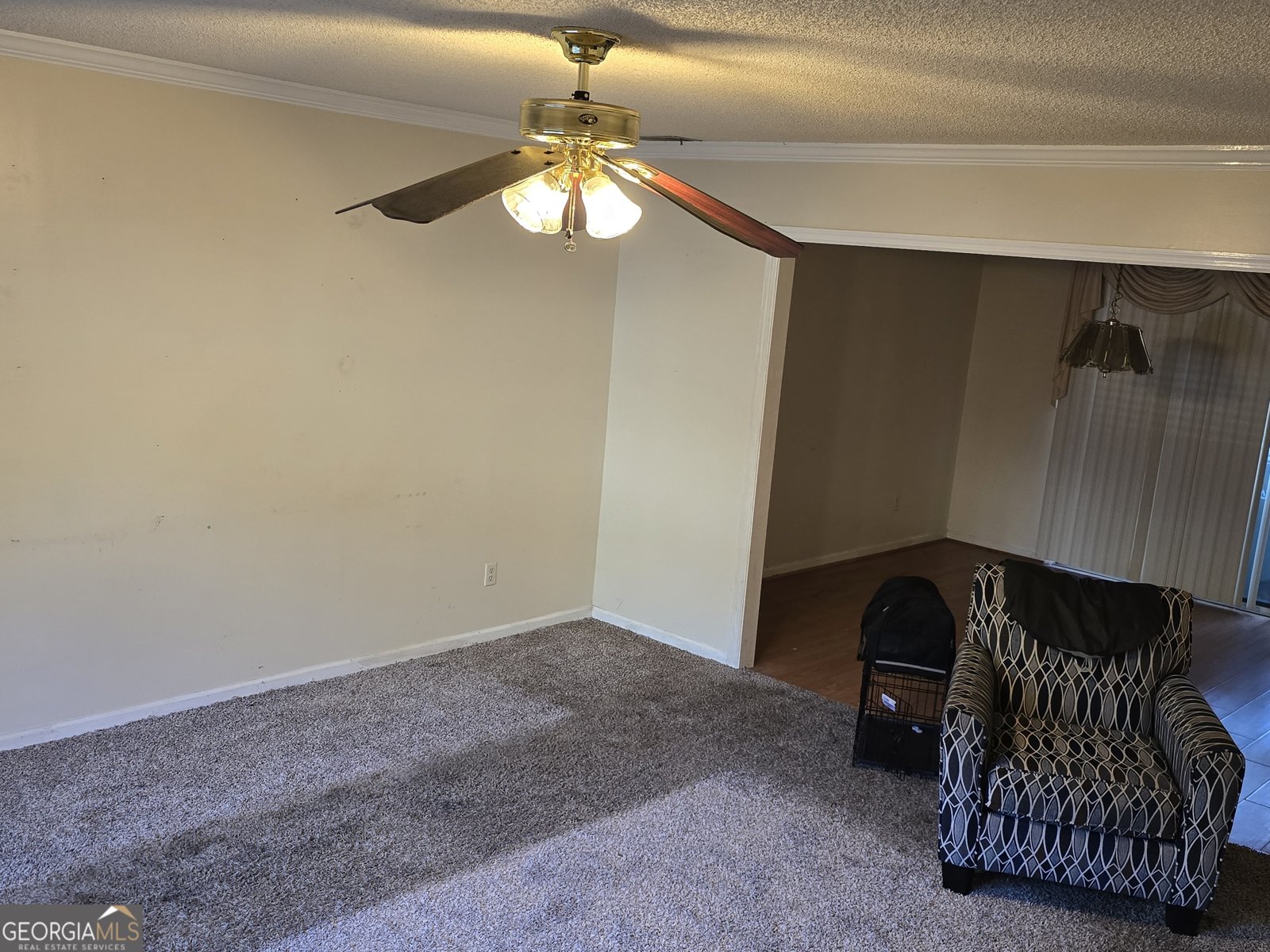 69 Hidden Lake Court Savannah - 22