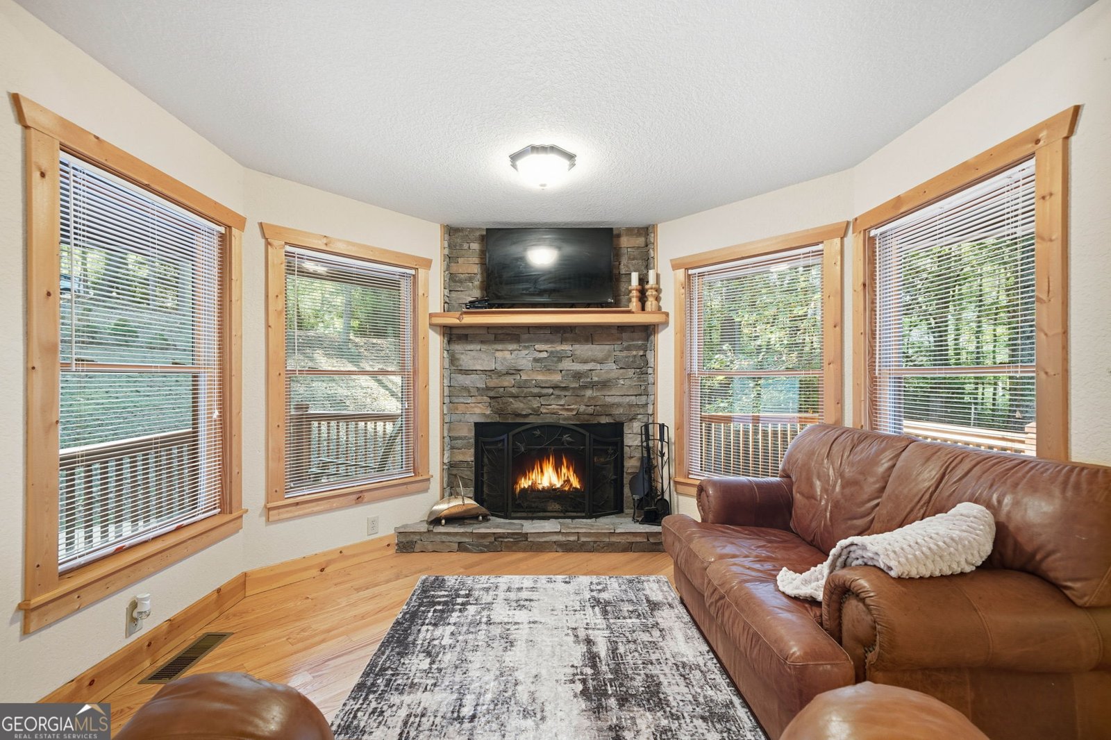 143 Hidden Lake Circle Ellijay - 1